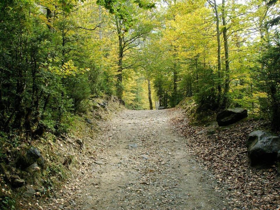 Apartamentos Pirineos Ordesa El Pueyo de Araguás Buitenkant foto